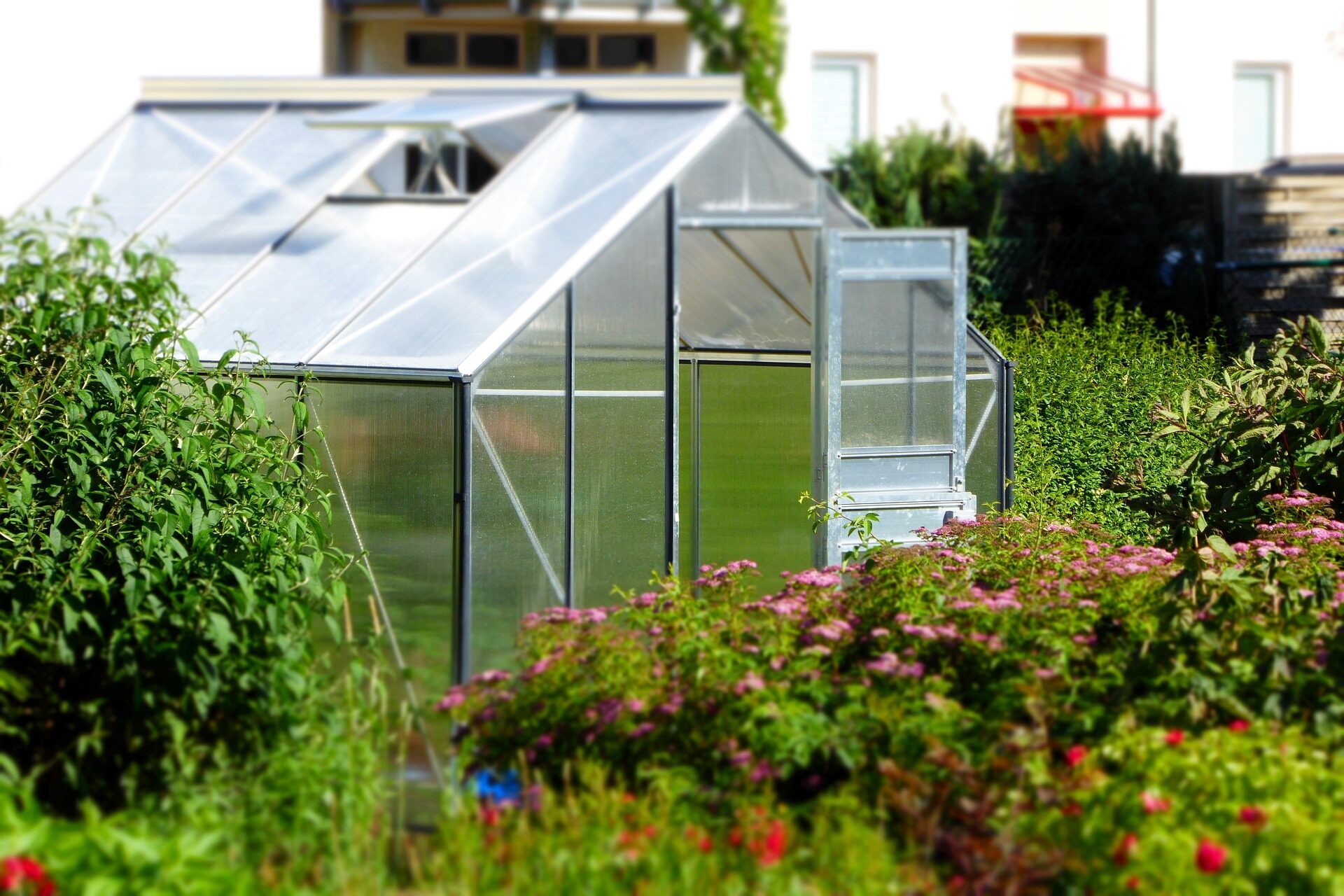 cropped-greenhouse-g9ef869b40_1920.jpg